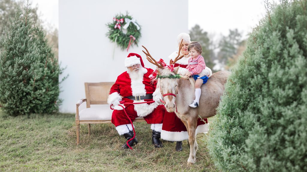 Santa Claus and Mrs. Claus with a young girl sitting on Burt the Reindeer among evergreen trees during a 5U Photography Christmas mini session.