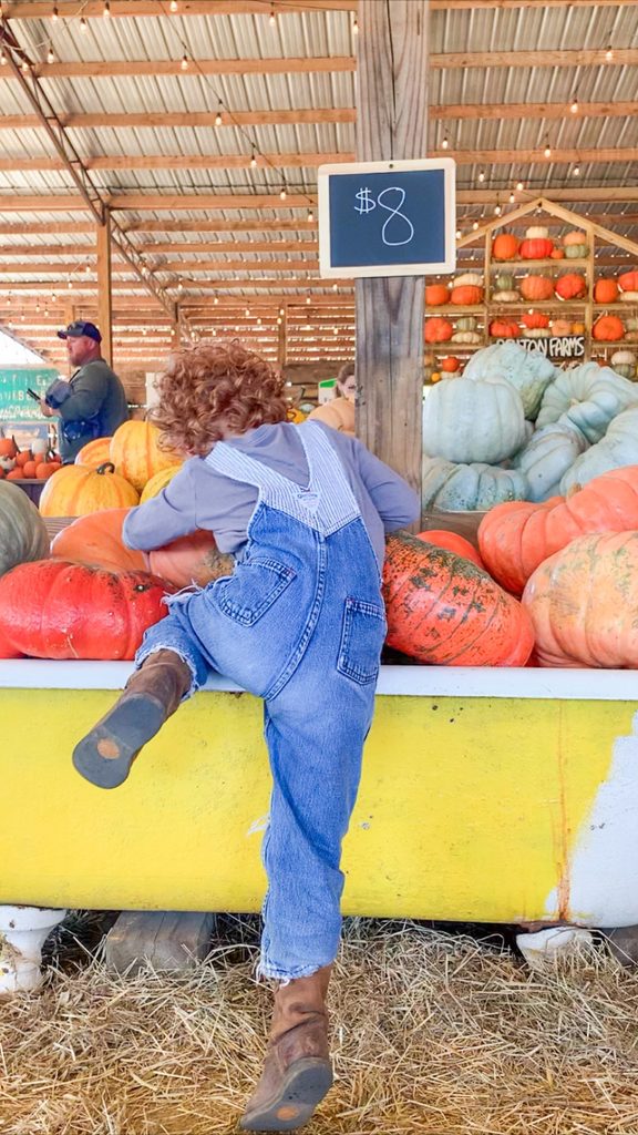 Child exploring the pumpkin displays at Penton Farms in Verbena, Alabama