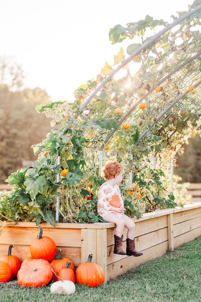 Family enjoying the pumpkin patch at Old Baker Farm during a Birmingham-area fall session