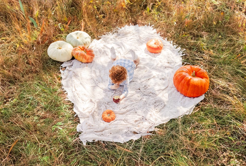 Heirloom pumpkins photographed after a family visit to Helena Hollow in Helena, Alabama