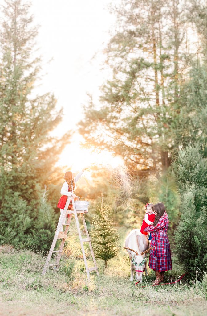 Children enjoying a magical Christmas tree farm session with Burt the Reindeer, featuring warm golden sunlight and festive holiday details near Birmingham, Alabama.