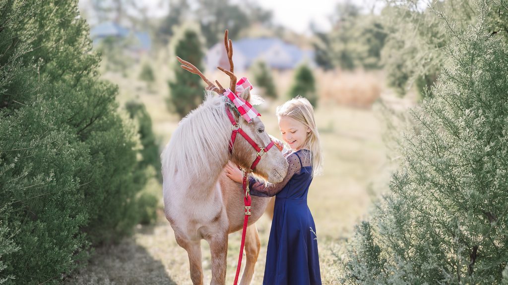 A smiling young girl in a navy blue dress hugging Burt the Reindeer, decorated with festive antlers and a red halter, among Christmas trees during a 5U Photography holiday mini session.
