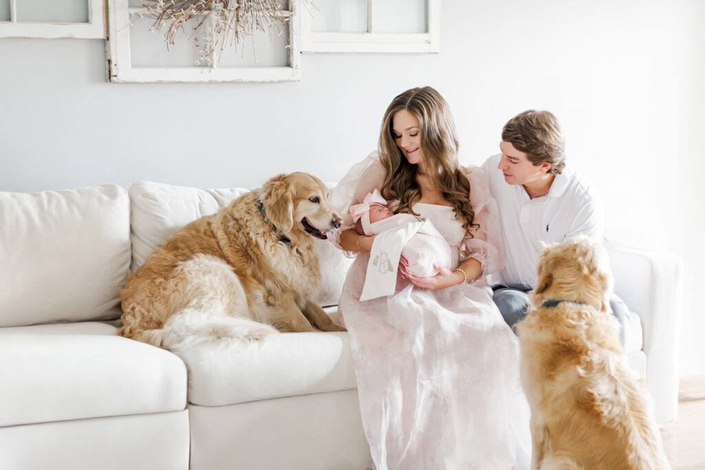 Family sitting on the sofa holding newborn baby girl with 2 golden retrievers during in-home newborn session with 5U Photography in Birmingham Alabama