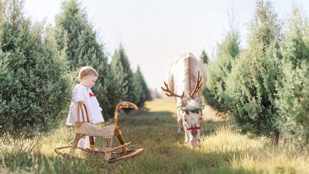 A young girl standing beside a wooden rocking horse as Burt the Reindeer grazes among Christmas trees during a Christmas mini session with 5U Photography near Birmingham, Alabama.