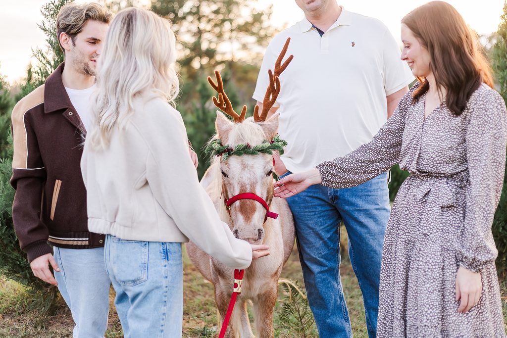 Four family members gathered around Burt the Reindeer, petting him during an outdoor Christmas mini session with 5U Photography near Birmingham, Alabama.