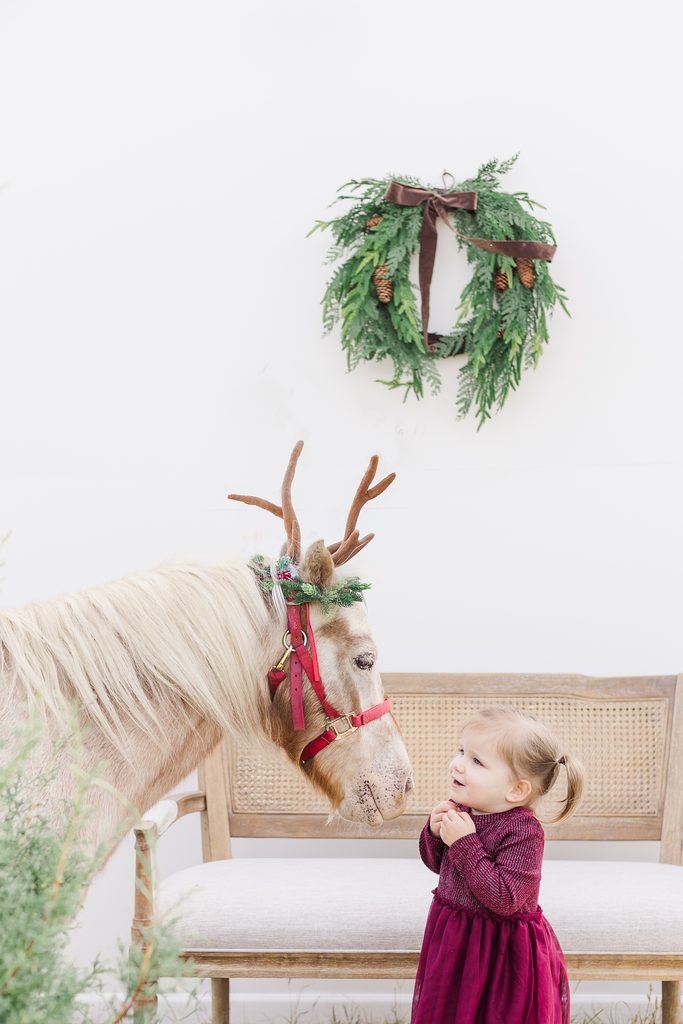 A little girl in a burgundy dress reaching toward Burt the Reindeer beside a wooden bench and Christmas wreath during a 5U Photography mini session.