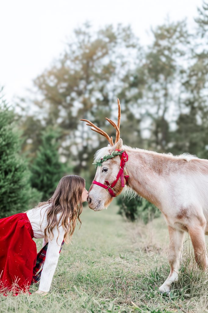 A young girl in a red skirt leaning toward Burt the Reindeer as they touch noses during a Christmas mini session near Birmingham, Alabama.