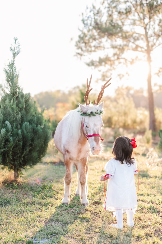 A little girl in a white dress with a red bow meeting Burt the Reindeer, wearing festive antlers, during a Christmas mini session near Birmingham, Alabama.