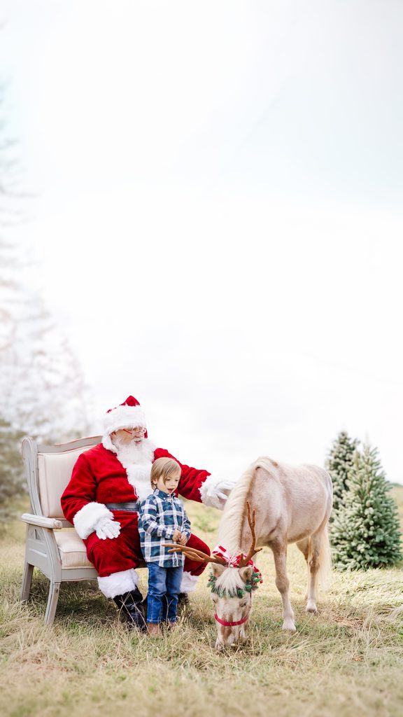 Santa Claus sitting beside a young boy and Burt the Reindeer during a Christmas mini photography session near Birmingham, Alabama. 