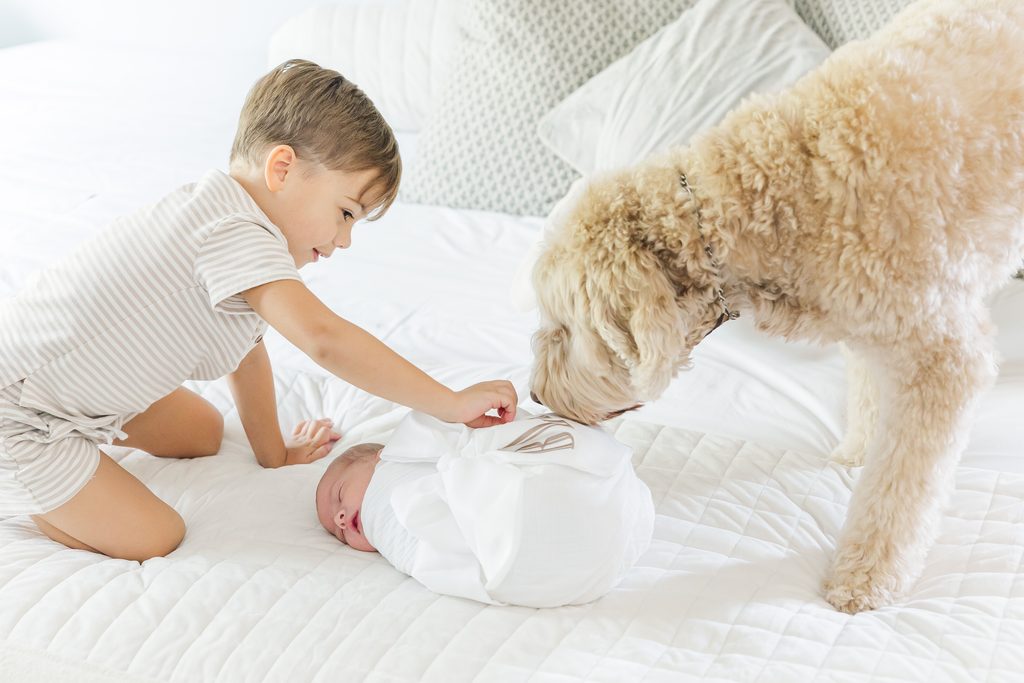 Big brother playing with the family dog during the Lavender family's in-home newborn session