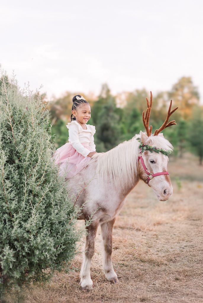 Girl dressed in soft pink sitting on Burt the Reindeer at an outdoor Christmas mini session.