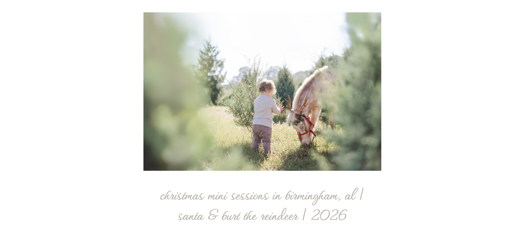 Christmas mini session photo of a child visiting Burt the Reindeer at a tree farm.