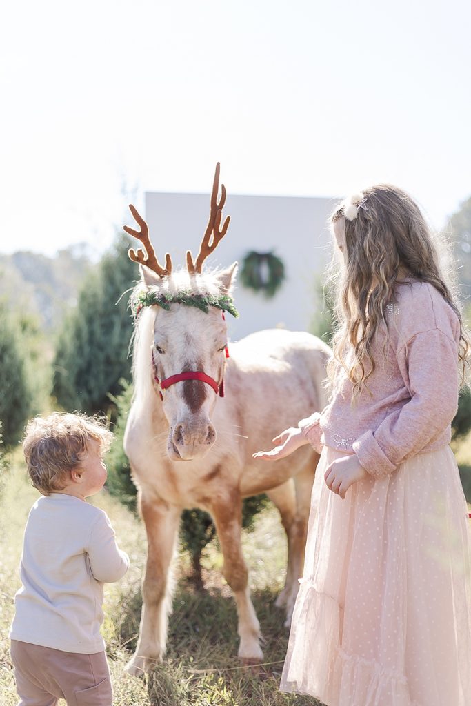 Girl in a soft pink Christmas dress standing with a child and Burt the Reindeer at a tree farm.