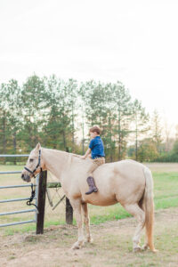 Little boy sitting on palomino horse tied to fence during photo session with 5U Photography for baby brother's 1 year milestone 