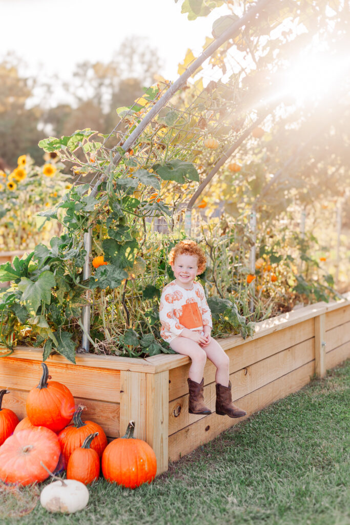 Little boy sitting under pumpkin vines at Old Baker Farm's pumpkin patch in birmingham alabama during 5U Photography photo session