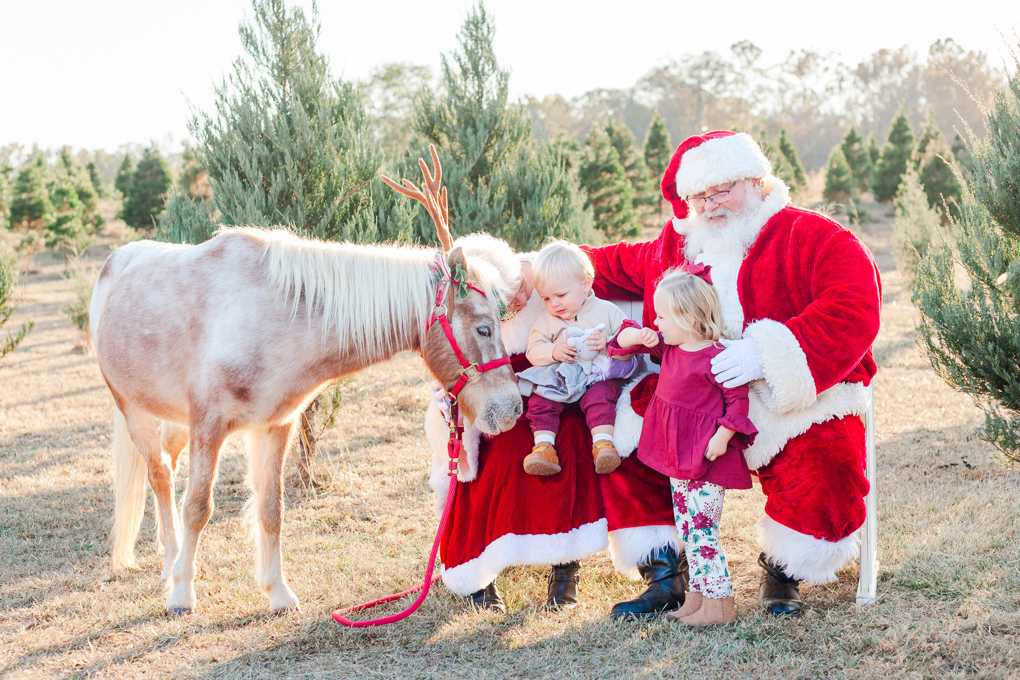 Santa and Mrs. Claus sitting on bench with blonde haired brother and sister petting burt the reindeer at old baker farm in harpersville alabama