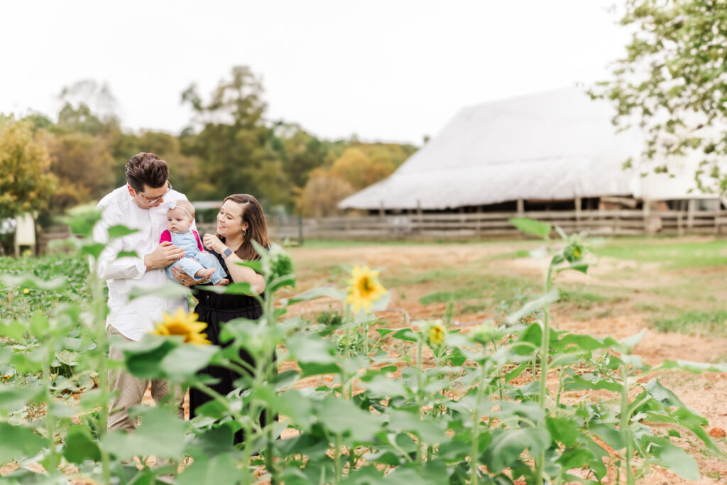 Family standing in sunflower field with barn behind them at Old Baker Farm during 6 month milestone session with 5u photography