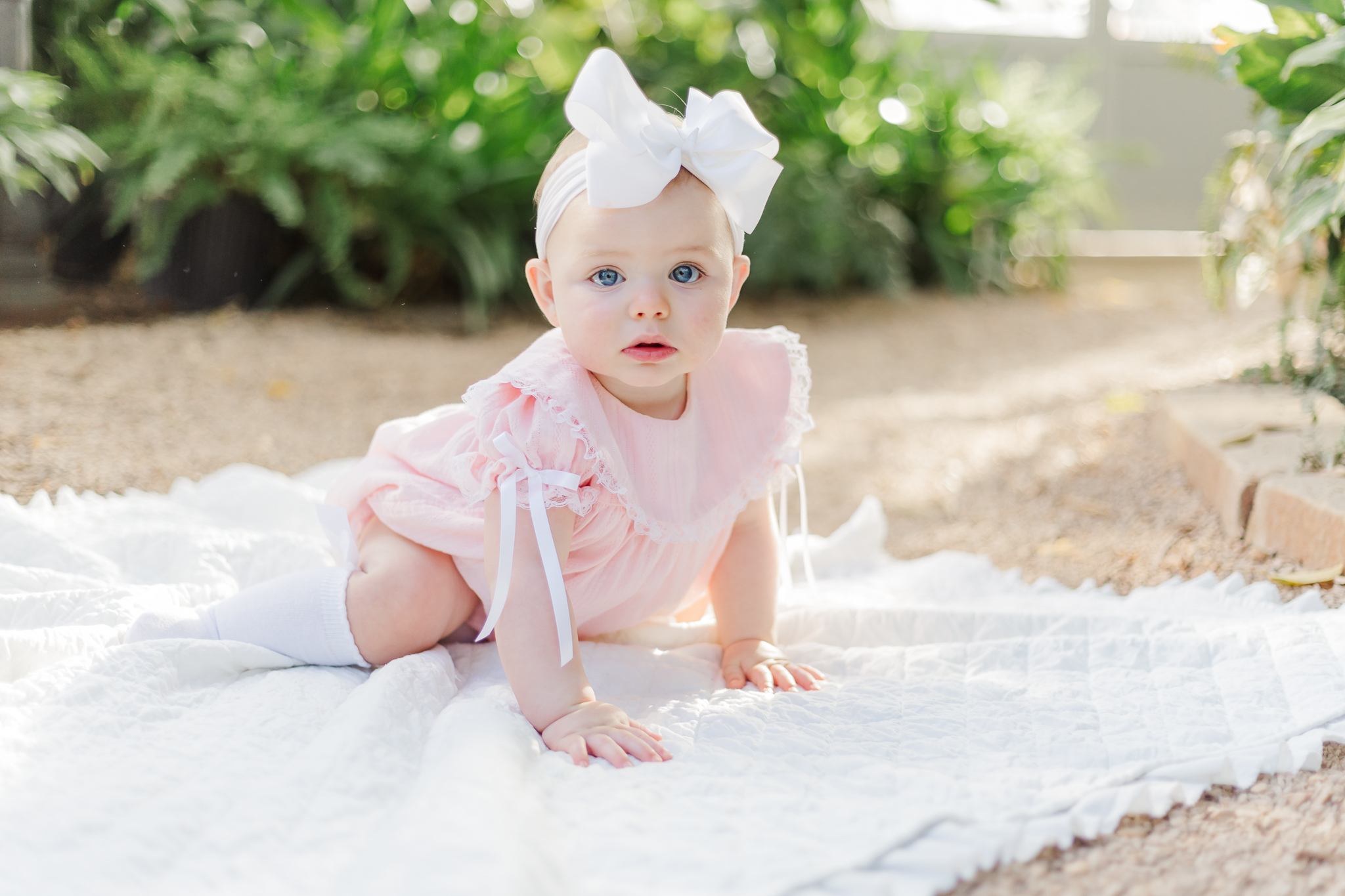 Little girl crawling on white blanket in greenhouse at birmingham botanical gardens during 12 month milestone session with 5u photography