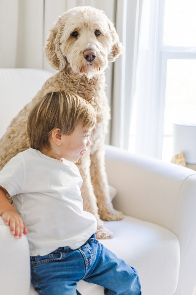 young boy sitting in white rocker with goldendoodle dog yogi during in-home photo session with 5U Photography