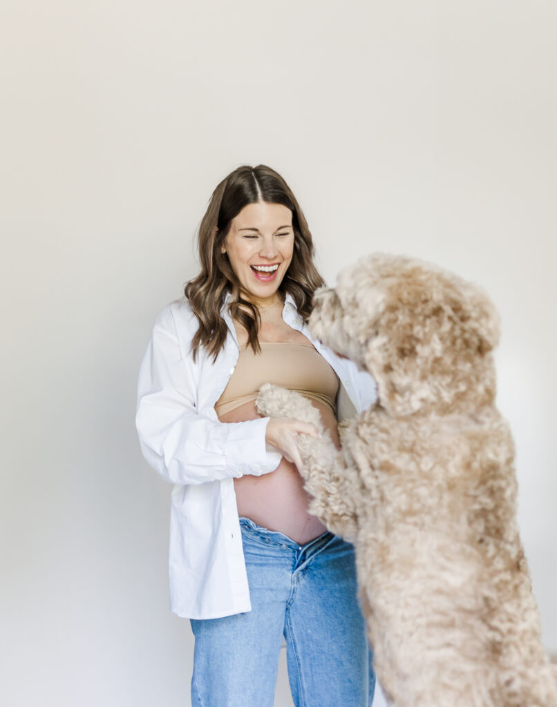 mom laughing down at golden doodle Yogi in front of white studio style background during maternity session in birmingham