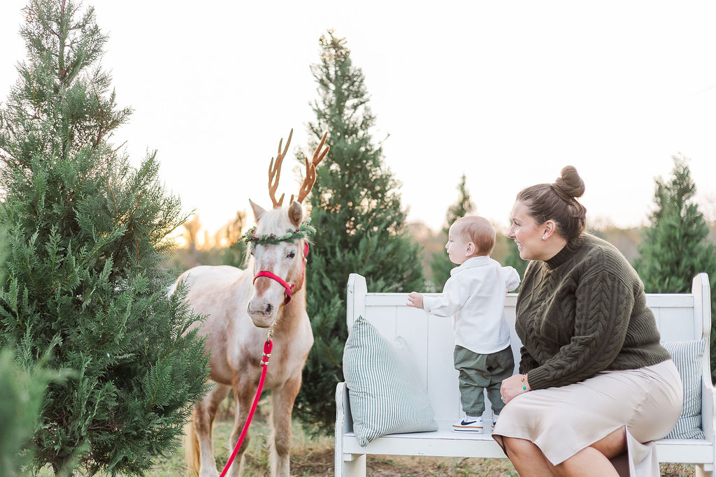 Mom and little boy sitting on white bench surrounded by fir trees at Old Baker Farm petting reindeer during 5U Photography Christmas mini session