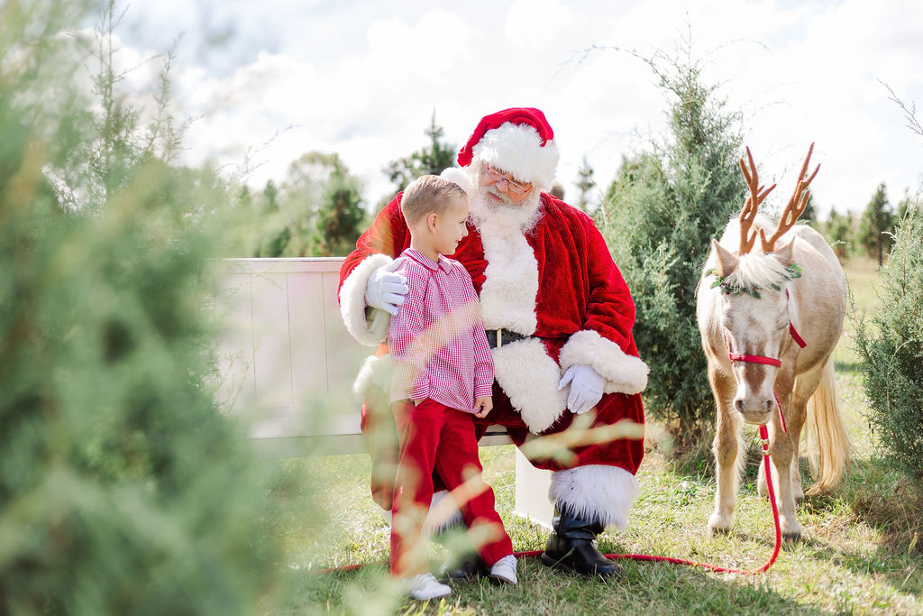 Santa talking with little boy sitting beside Burt the reindeer at Old Baker Farm during Christmas Minis with 5U Photography